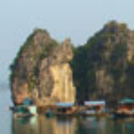 Rabarbar