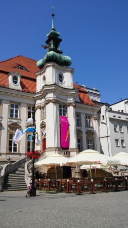 Kawiarnia Ratuszowa