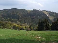 Rymarz