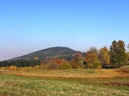 Grodczyn