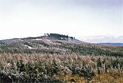 Dzicza Góra