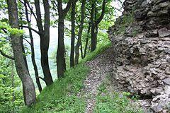 Zamek Rogowiec