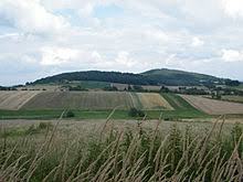 Gromnik