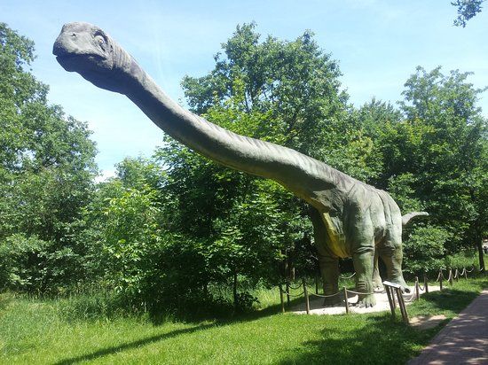 ZOO Lubin